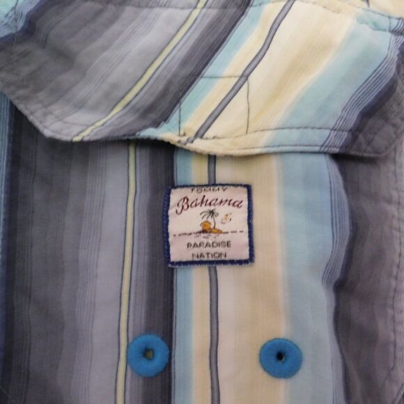 Tommy Bahama Men's Lined Large Swim Trunks Shorts Surfing Ocean Striped  Very go - Picture 6 of 6